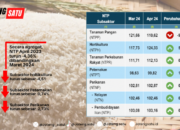 Produksi Padi di Jawa Tengah Turun, Ini Penyebabnya